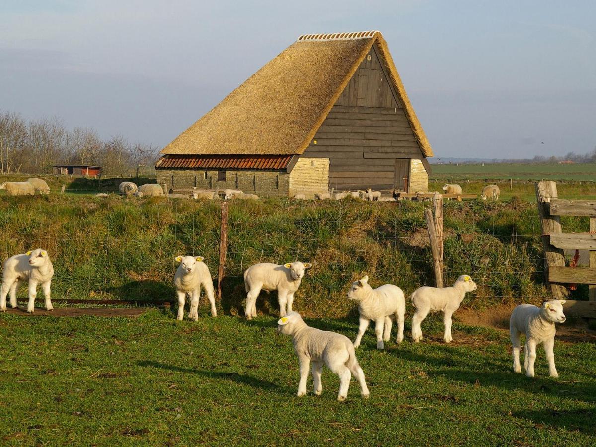 Fantastic Bungalow On Texel De Cocksdorp  Exteriör bild